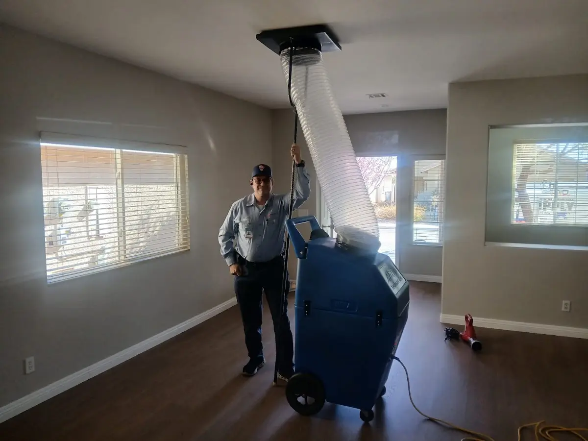 Professional Dryer Vent Cleaning work inside a Addison home